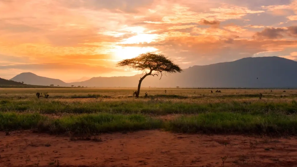 Africa-solo-travel